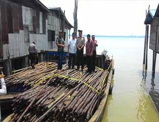Angkut Ribuan Kayu Bakau  Dua Kapal Diamankan, Awak Kapal Kabur 