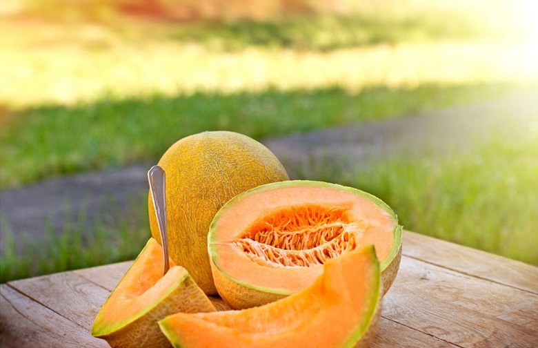 Bakteri Listeria, Makhluk Berbahaya yang Sembunyi di Buah