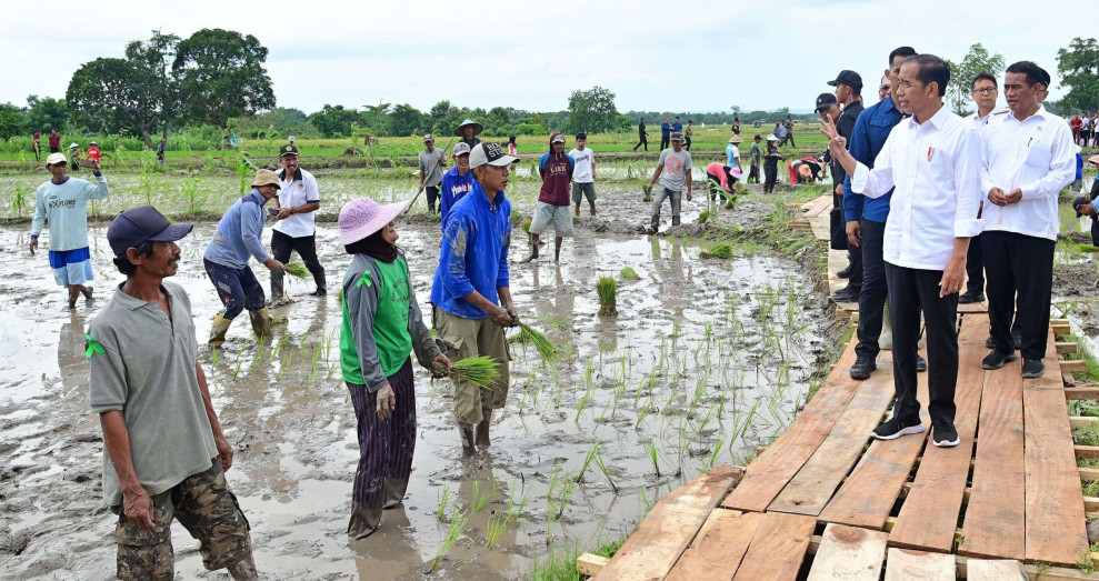 Presiden Jokowi Tinjau Pompanisasi Pertanian di Desa Layoa, Bantaeng:  Pompanisasi Untuk Meningkatkan Produktivitas Pertanian