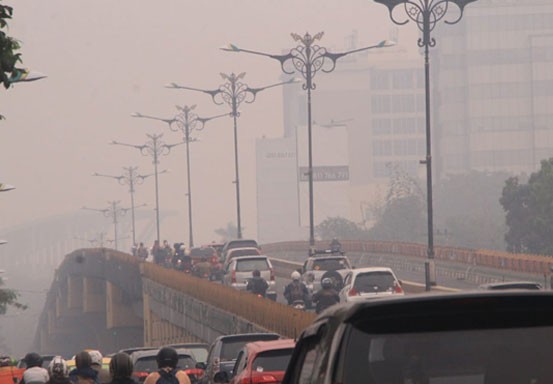 Pagi Ini Jarak Pandang di Pelalawan Cuma 300 Meter, Pekanbaru 800 Meter