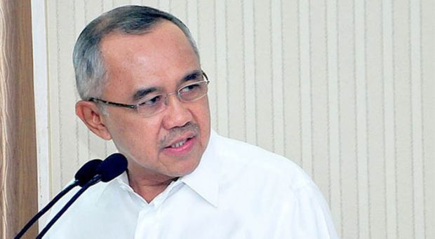 Hari Lingkungan Hidup Sedunia, Presiden Dijadwalkan Resmikan Ground Breaking Tol Pekanbaru-Dumai 
