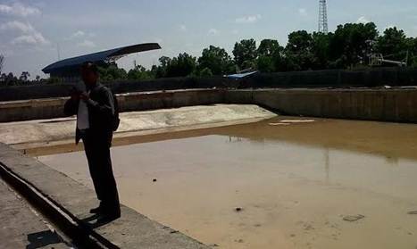Proyek Kolam Renang Rp12 Miliar Jadi Kandang Sapi 