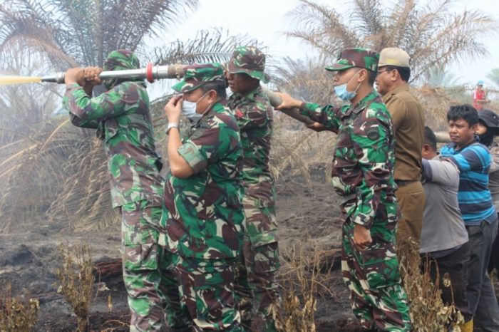 Danrem 031/Wirabima Tinjau Lahan Terbakar Sei Segajah Makmur, Rohil