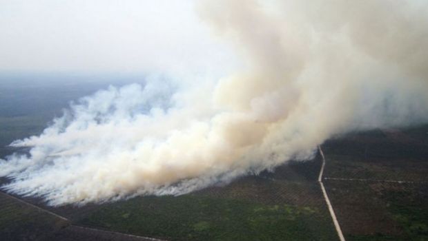 Polda Riau :  Lebih dari 10 Perusahaan di Riau Diduga Terlibat Pembakaran Lahan 