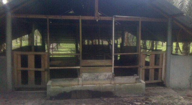 Pernah Putus Kontrak di Tahun 2013, Disnakkanla Diminta Realisasikan Kembali Bantuan Kandang 
