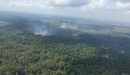 Komnas HAM Sebut Situasi Taman Nasional Tesso Nilo Rawan Konflik 