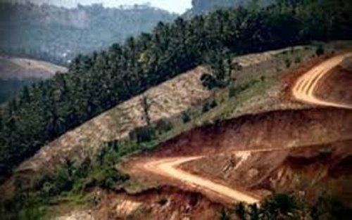 PN Rengat Tinjau Kebun Sawit Milik Wakil Bupati Kuansing Seluas 180 Ha yang Diduga Berada di Kawasan 