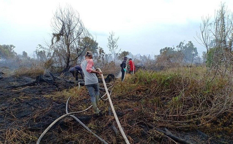 FERT RAPP Bantu Padamkan Karhutla di Sejumlah Titik di Pelalawan 