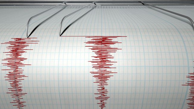 Gempa 5,6 SR Guncang Jayapura, Tak Ada Potensi Tsunami