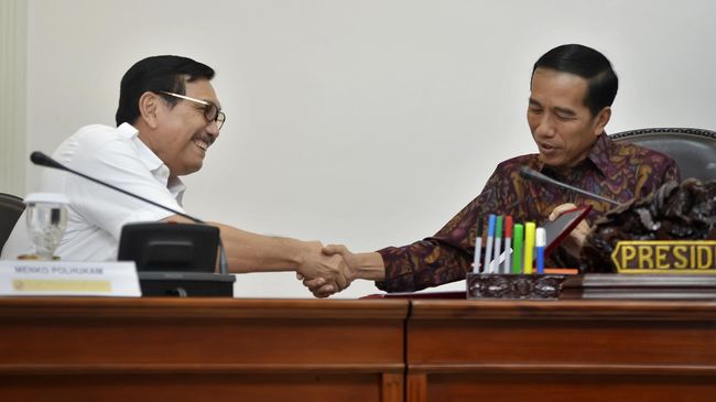 Luhut Sebut Perppu Kebiri Dapat Segera Dilaksanakan