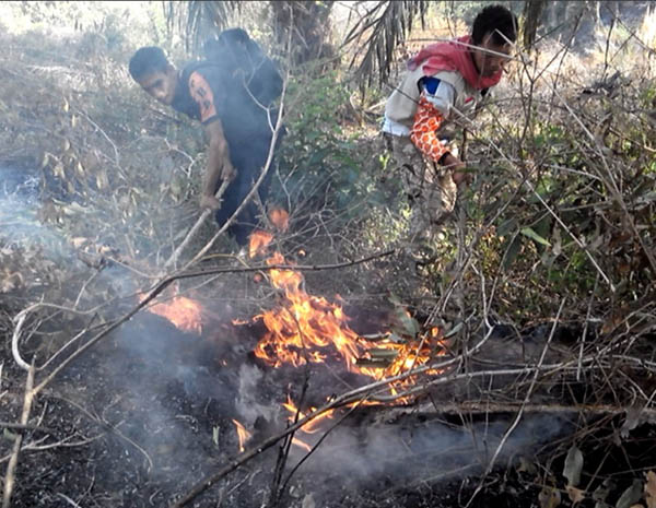 Puluhan Hektar Lahan dan Kebun Sawit di Serombou Indah, Rohul Terbakar