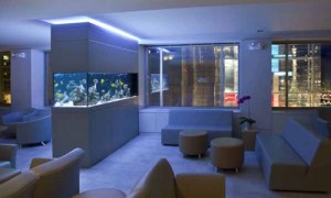 Arti  Energi Aquarium Dalam Feng Shui 