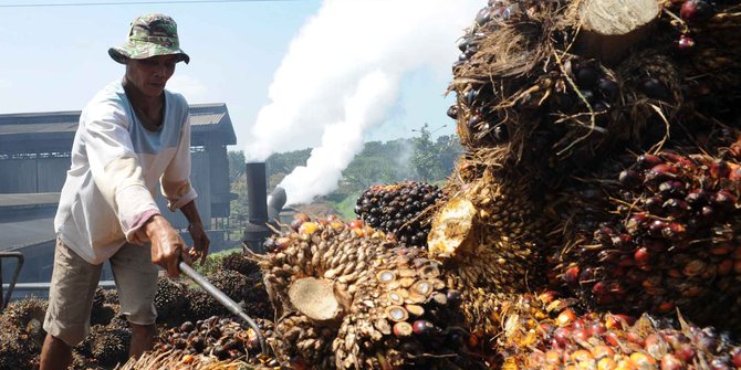Langgar Hak Buruh, RSPO Cabut Keanggotaan Anak Usaha Indofood