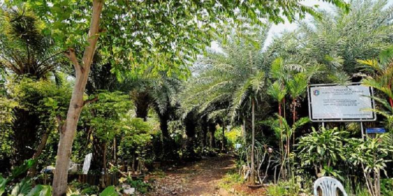 Tanah Sengketa Juga Akan Disertifikasi