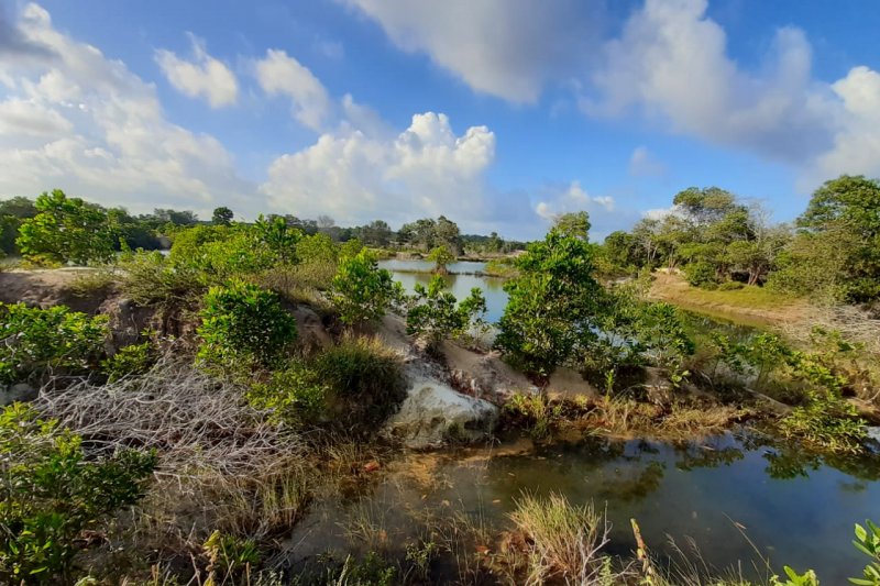 Penambangan Pasir Ilegal di Bintan Rugikan Negara