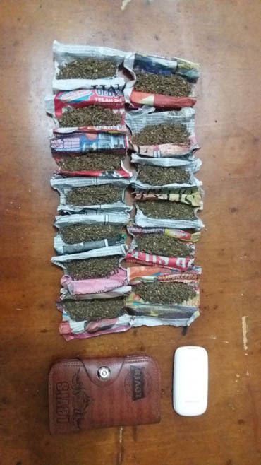 Miliki 13 Paket Ganja, Pemuda Pengangguran Diringkus Polres Bengkalis