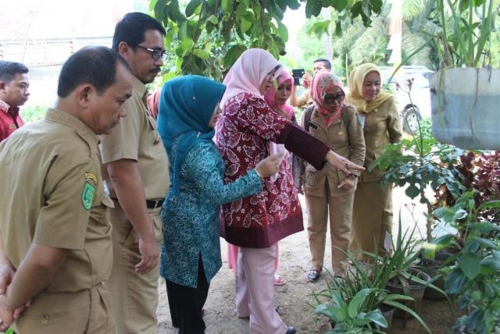 Masuk Empat Besar Nasional, Tim Kemenkes RI Kunjungi Desa Seresam Inhu