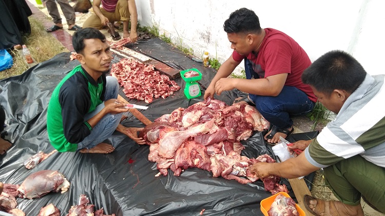 Disnaker Rohil Sumbang Satu Ekor Lembu Untuk Diqurban 