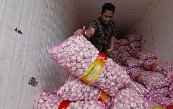 DKI Bakal Gelontorkan 145 Ton Bawang Putih Impor asal China