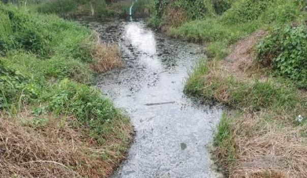 Izin PT RAPP di Areal Kerja Pelalawan Minta Dibekukan