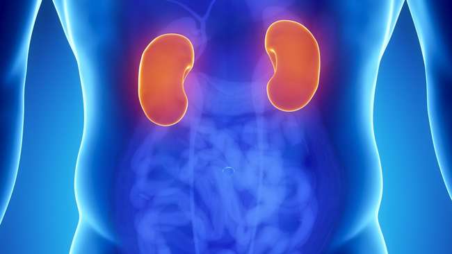 Obat Diabetes Sebabkan Gagal Ginjal? 