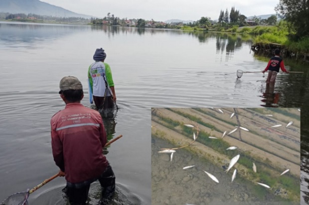 Ikan di Danau Berenang ke Pinggir dan Berubah Jinak, Ini Pertanda Apa?