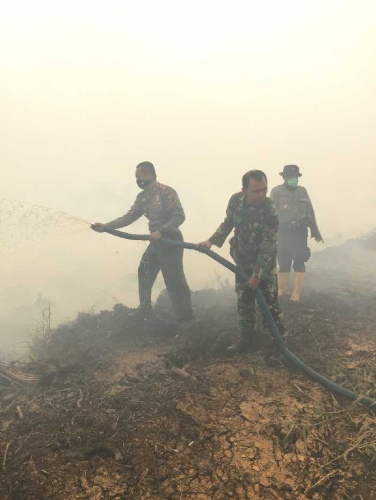 Polda Riau Tetapkan 41 Orang Sebagai Tersangka Pembakar Lahan, 4 Perusahaan dalam ProsesPenyelidikan