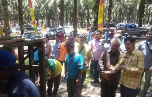 Siak Panen Anak Sapi Bali, Empat Kecamatan Jadi Prioritas Pengembangbiakan