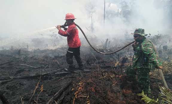 Polda Riau Gandeng Kejaksaan Tangani Kasus Karhutla PT TI