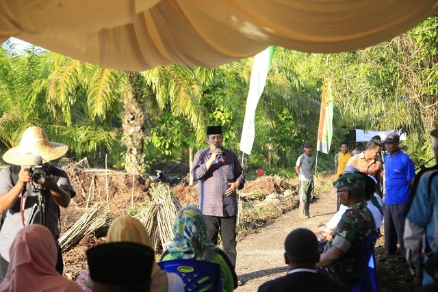 Bupati Siak Gelar Penanaman Ubi Casesa Perdana