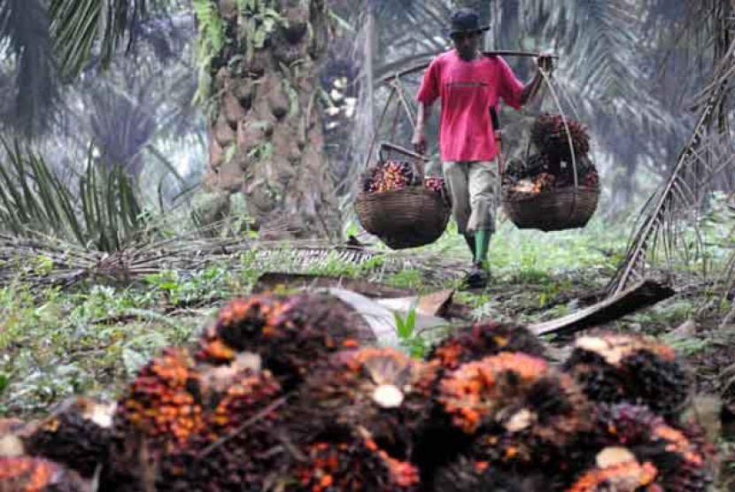 Harga Sawit Masih Bertahan 