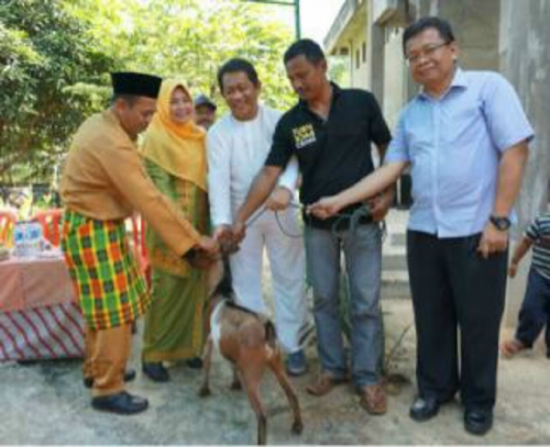 PPT BSP Bantu Warga 100 Ekor Kambing, Yan Prana: Ini Sangat Bermanfaat bagi Masyarakat