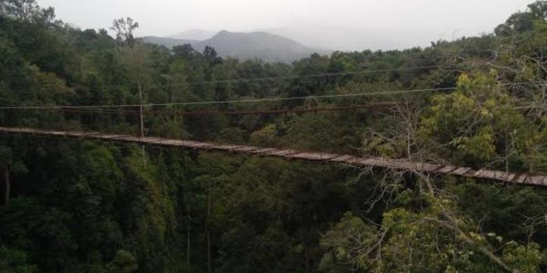 Berjalan di Jembatan Kayu Kecil di Atas Jurang, Berani?