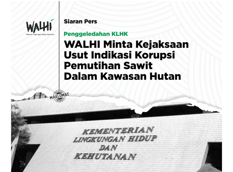 Terkait Penggeledahan KLHK,  WALHI Minta Kejaksaan Usut Indikasi Korupsi Pemutihan Sawit Dalam Kawasan Hutan