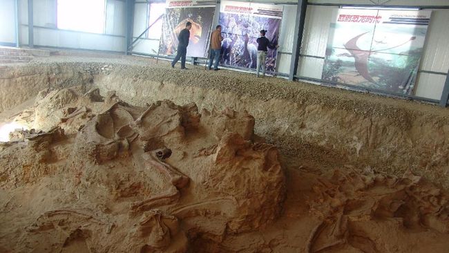 Peneliti Temukan Jejak Kulit Kaki Dinosaurus di Korsel