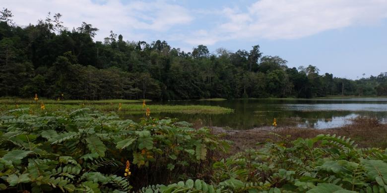 Mitos Kampung Tenggelam dan Udang Keramat di Danau Togo Motonu 