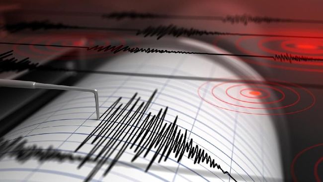 Jayapura Diguncang Gempa M 4,6, Tak Berpotensi Tsunami 