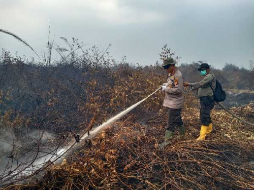 50 Ha Lahan di Inhu Kembali Terbakar