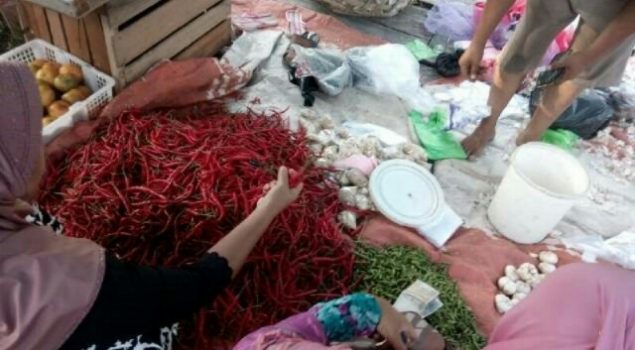 Harga Cabe Merah Tembus Angka Rp80 Ribu/Kg di Mempura 