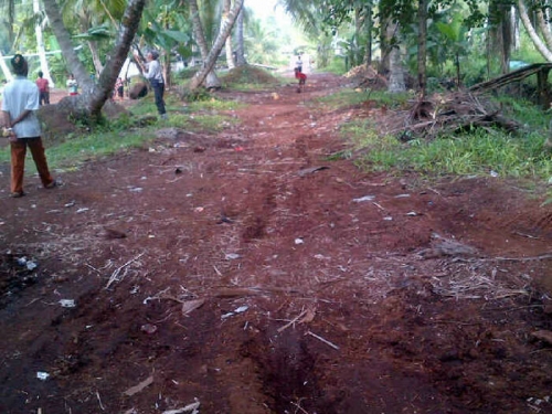 Merasa Terisolasi, Warga Mandah Inhil Berharap Penimbunan Jalan di Desa Ini
