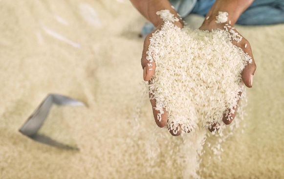 Pekan Lalu, Harga Pangan Bervariasi