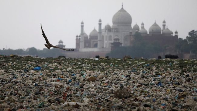 Taj Mahal di Bawah Ancaman Monyet