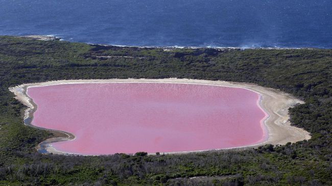 Turis China Menyerbu Danau Pink Australia
