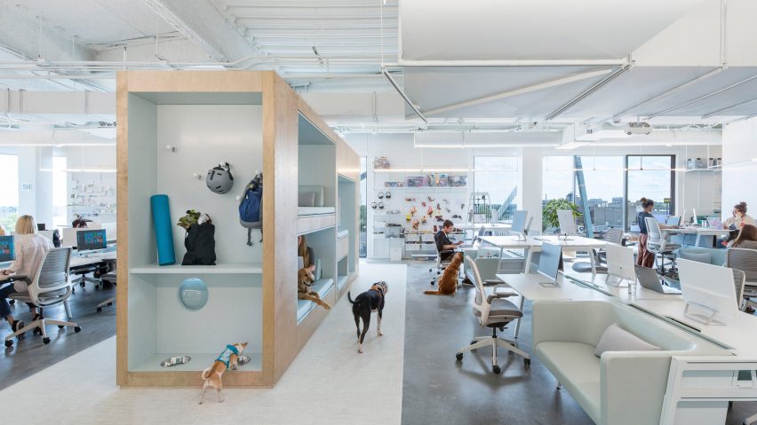 Desain Kantor yang Nyaman untuk Karyawan dan Anjingnya