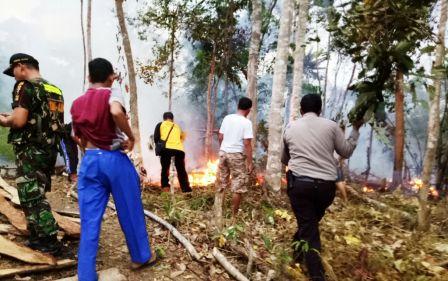 Tim Satgas Rohul Temukan 1 Hektar Lahan Terbakar di Sialang Jaya