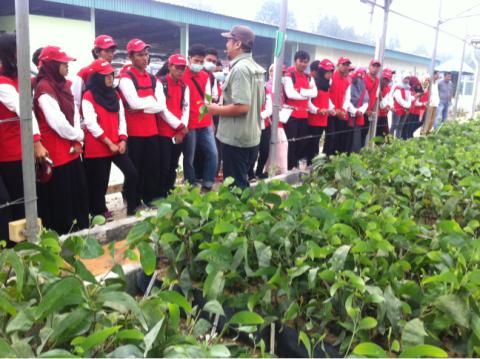 Rektor UR dan Mahasiswa KKN Kebangsaan Apresiasi Program FFV RAPP