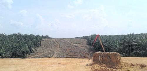 Tol Pekanbaru-Dumai Bermasalah, Jokowi Kirim Utusan ke Riau