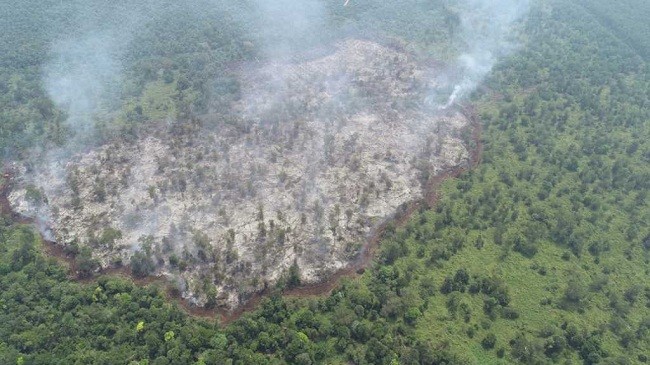 20 Hektare Lahan Terbakar di Kecamatan Mempura Siak 