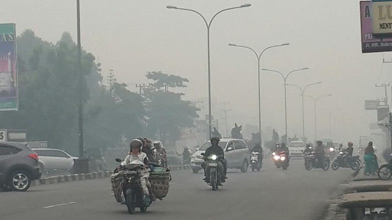Polda Riau Tangkap Petinggi Perusahaan Pembakar Lahan