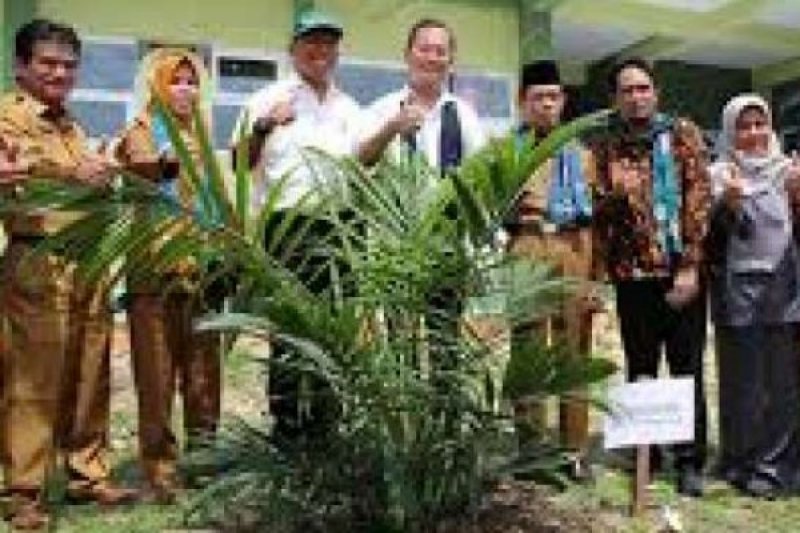 Pemda Pelalawan Berdayakan Masyarakat Dalam Industri Sawit